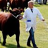 Lincolnshire Show