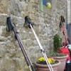 Haltwhistle Walking Festival